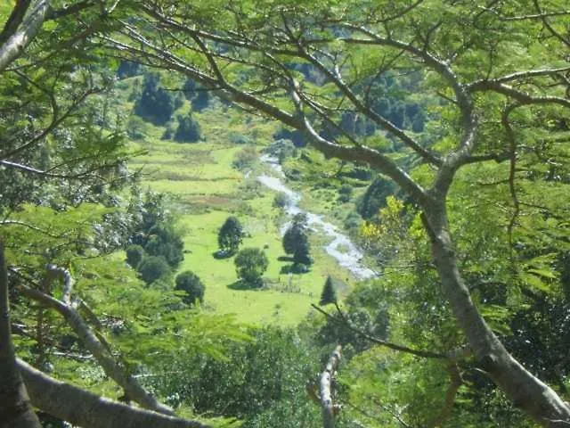 Maleny Tropical Retreat Bed & Breakfast